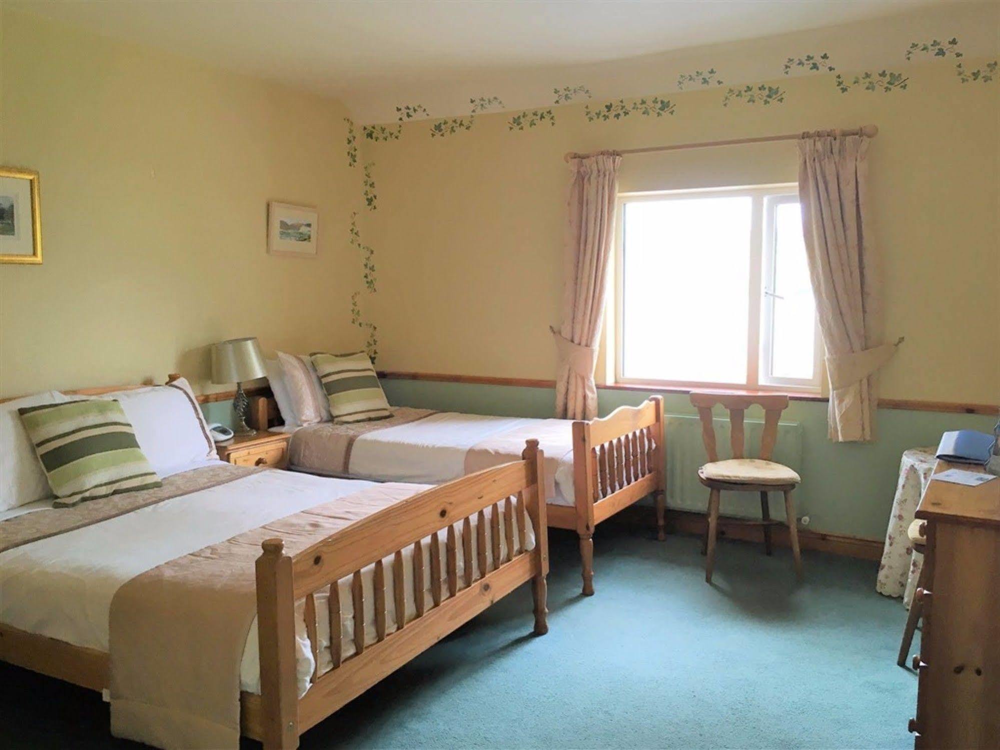 O'Connor'S Guest House Dingle Zewnętrze zdjęcie