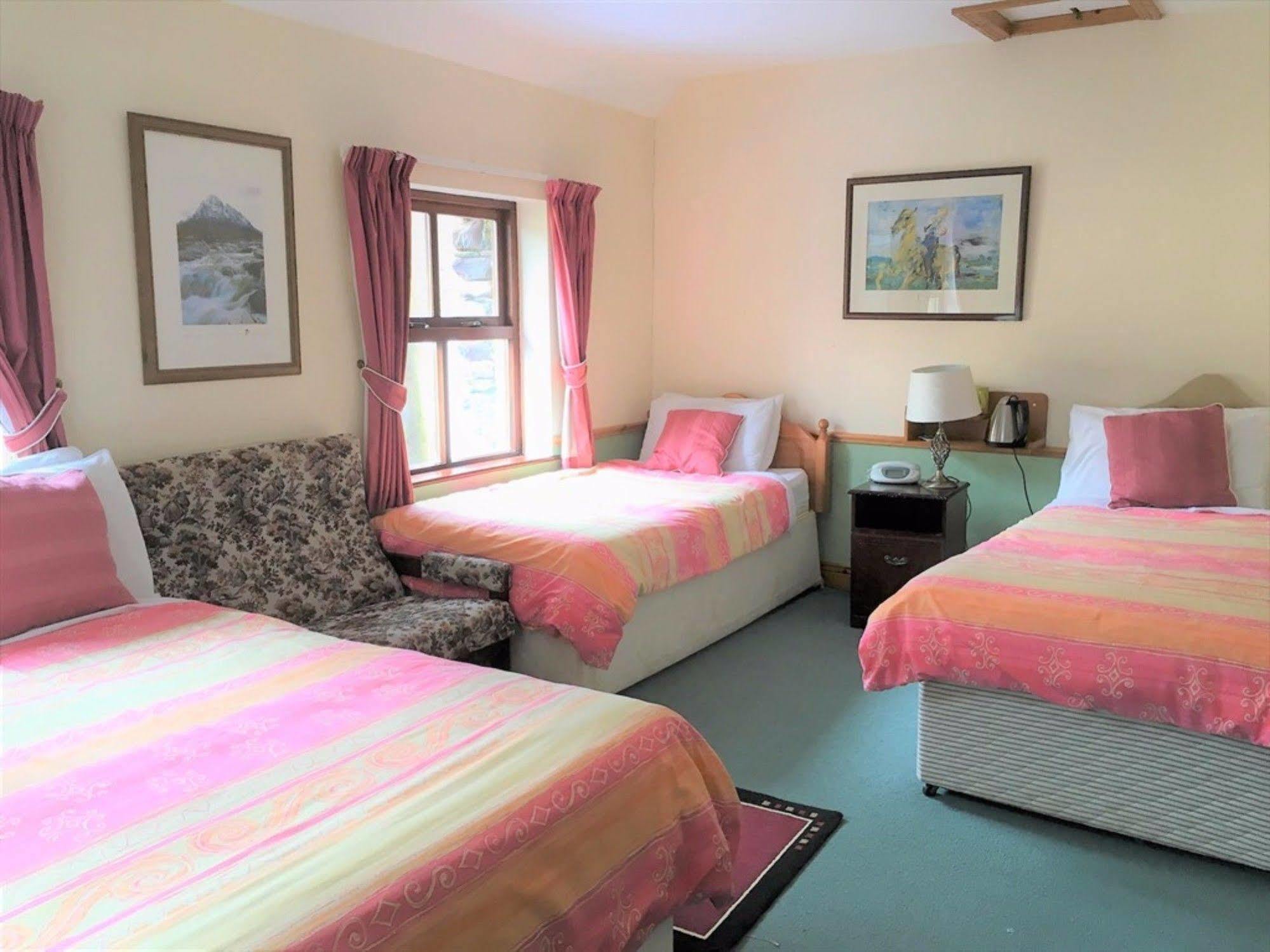 O'Connor'S Guest House Dingle Zewnętrze zdjęcie
